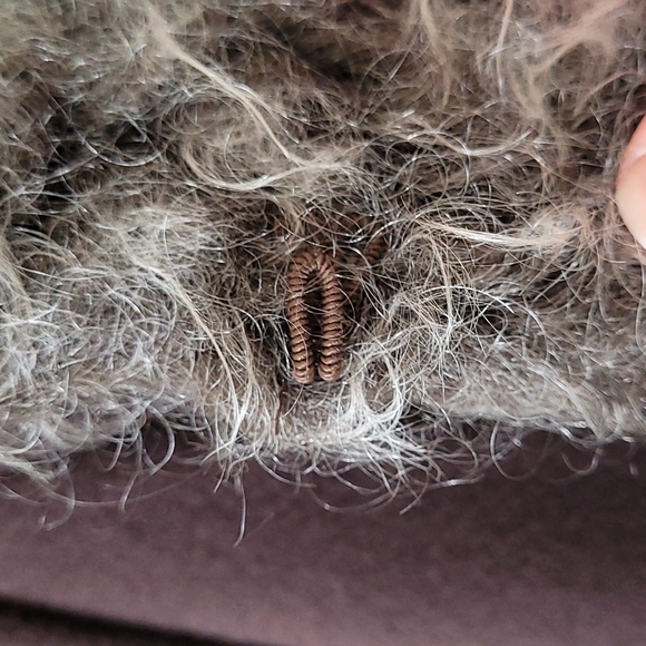 AK ANNE KLEIN | Mohair Trimmed Wool Coat - Small - Picture 8 of 9